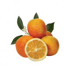 نارنج (500 گرم)