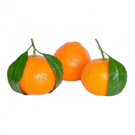 نارنگی | جی شاپ