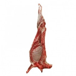 گوشت گرم گوسفندی شقه کامل با استخوان با دنبه 8 کیلو
