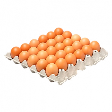 شانه تخم مرغ محلی 30 عددی | جی شاپ