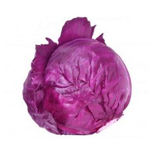 کلم قرمز | جی شاپ