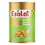 کنسرو سبزی مخلوط اصالت | جی شاپ